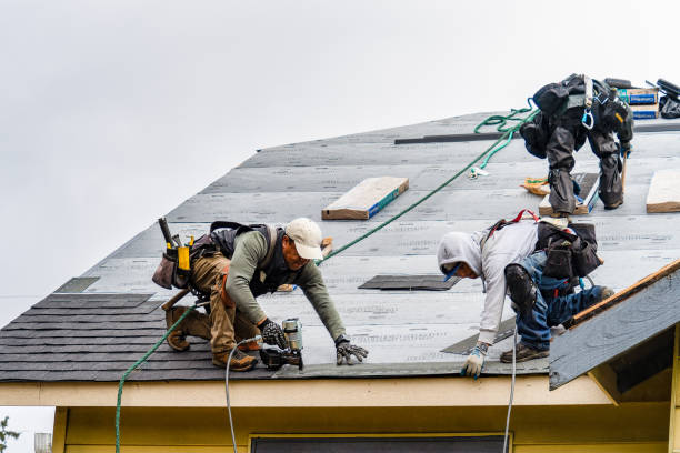 Professional Roof Replacement technician working in Marine City, MI